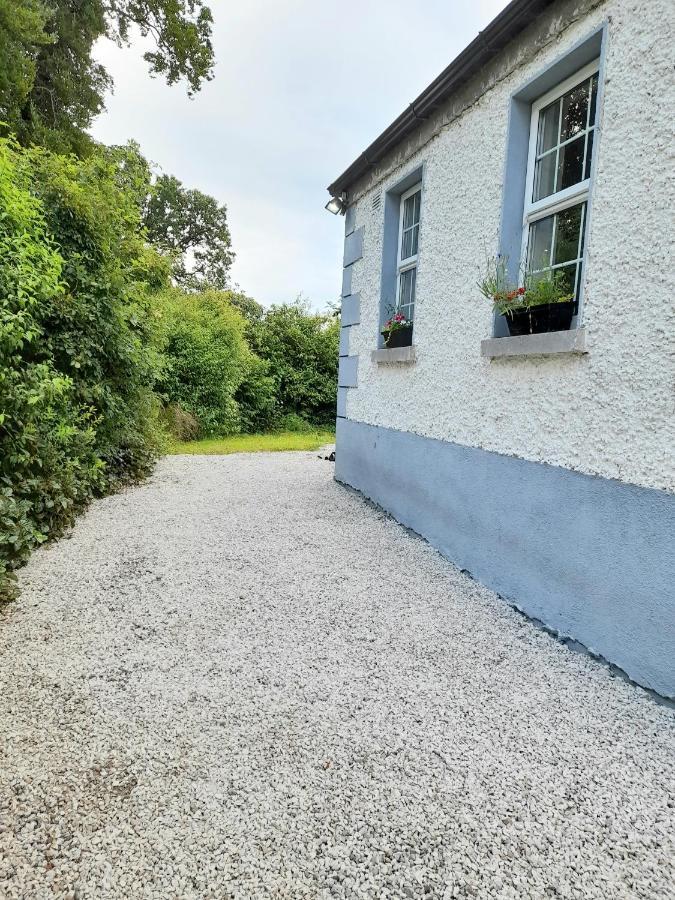 Gormanstown House Apt, The Island Tullamore Exterior foto