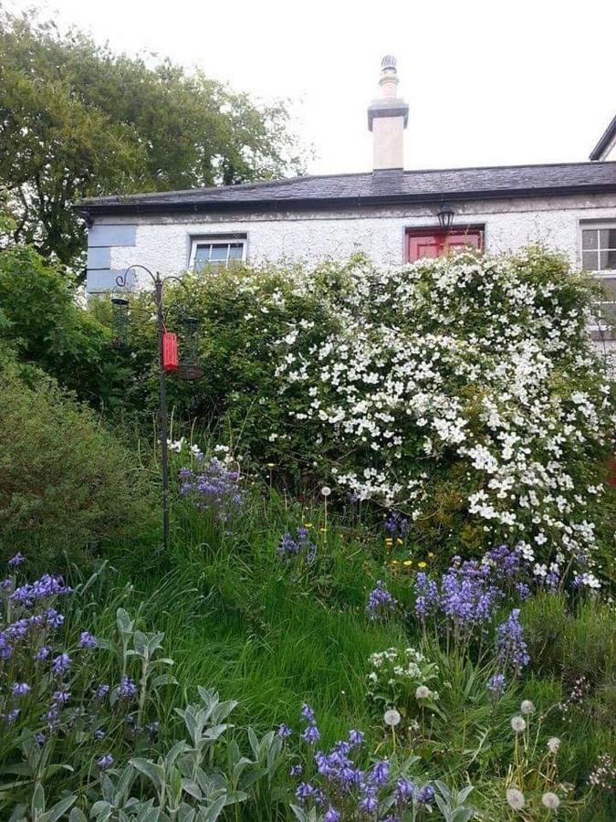 Gormanstown House Apt, The Island Tullamore Exterior foto